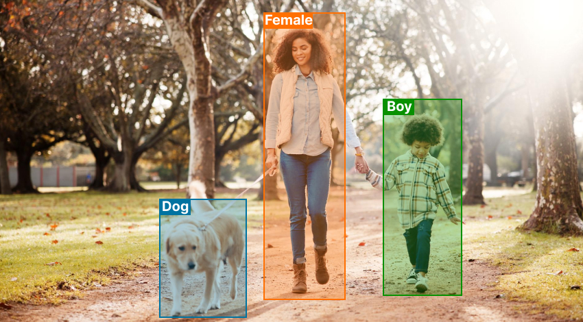 Image Annotation Services