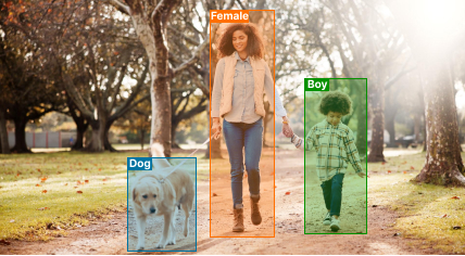 Image Classification