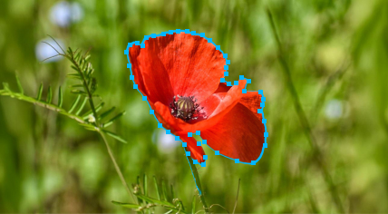 Line and Spline Annotation